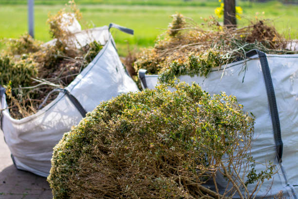 Best Electronics Removal Services  in Independence, MN