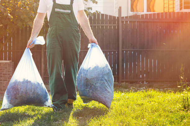 Yard Cleanup Services in Independence, MN